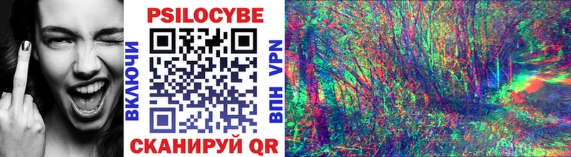Псилоцибиновые грибы Magic Shrooms  Купить где  Краснослободск 